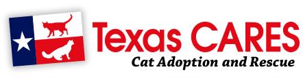 Texass CARES logo