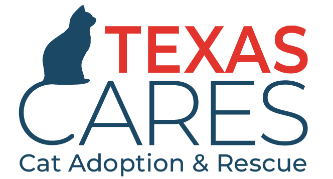 Texas CARES Logo